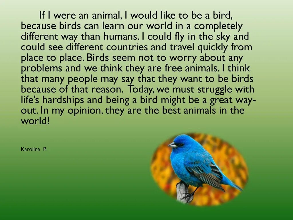 I a bird перевод. Сочинение на английском про птицу. Стих i am a Bird. Эссе какой птицей ты бы был. Стих i am a Bird i Live to.