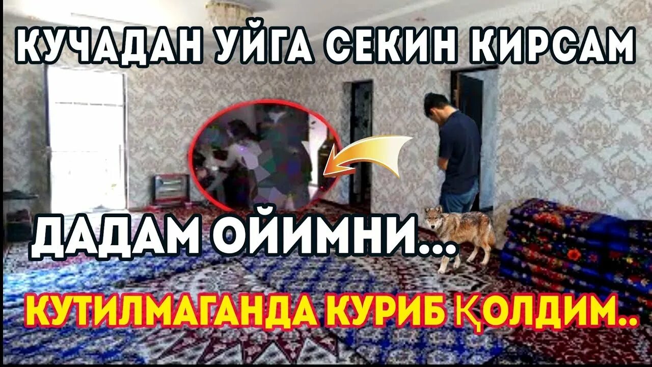 Севгилим мухаббат. Илонга айланган аёл хакида. Сикишиш хакида. Акобиров юсуф. Дадам билан мазза килдим.