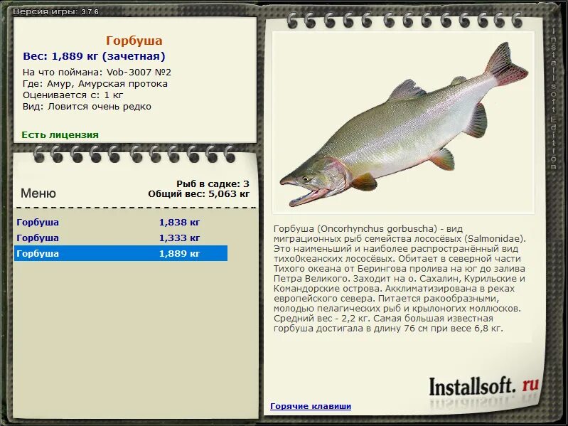 горбуша пищевой и энергетической ценности. горбуша обитает. горбуша вес одной рыбы. горбуша пищевая ценность. горбуша какой вес.