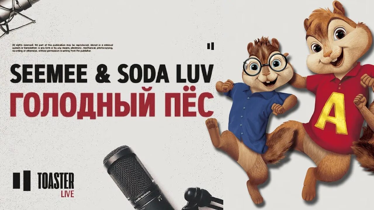 Seemee голодный пес. Голодный пёс Soda Luv. Бурундука Мисс Элвин. Элвин и бурундуки бурундук двое. Seemee голодный пёс.