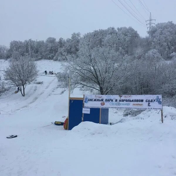 Корольков сад Саратов. Саратов Корольков сад парк. Корольков сад Саратов турбаза. Заводской район Корольков сад. Корольков сад саратов купить