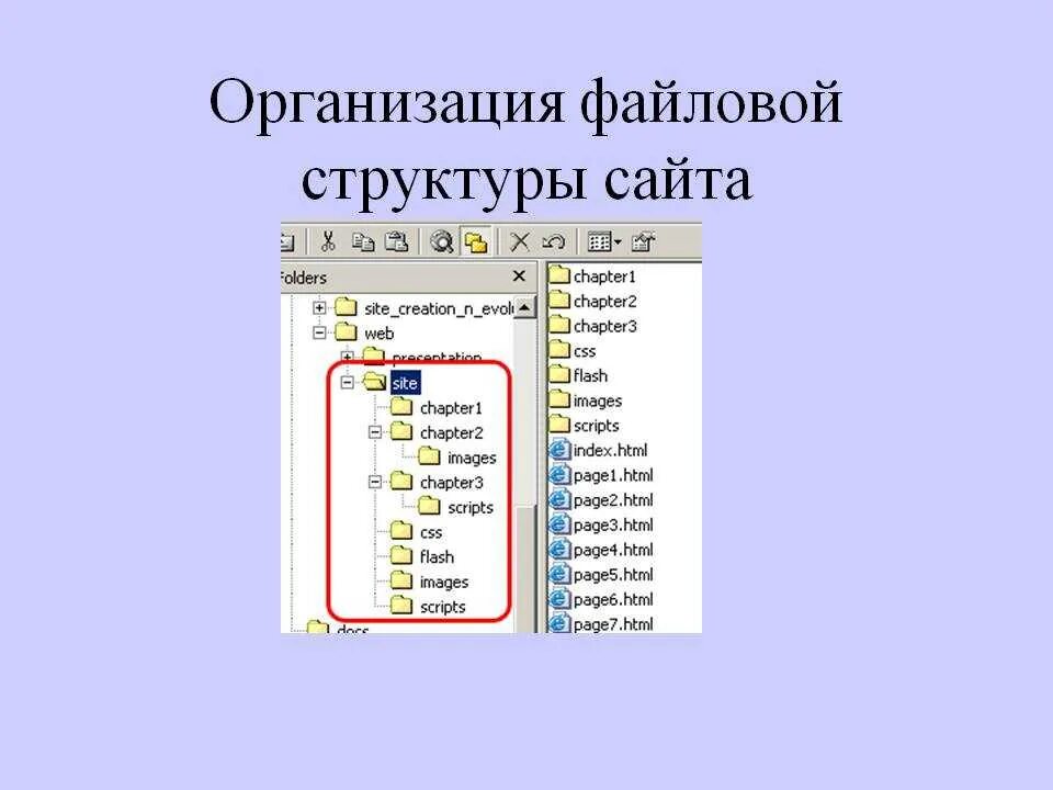 Структура папок. Структура папок сайта. Организация файловой структуры сайта. Файловая структура сайта. Directory html