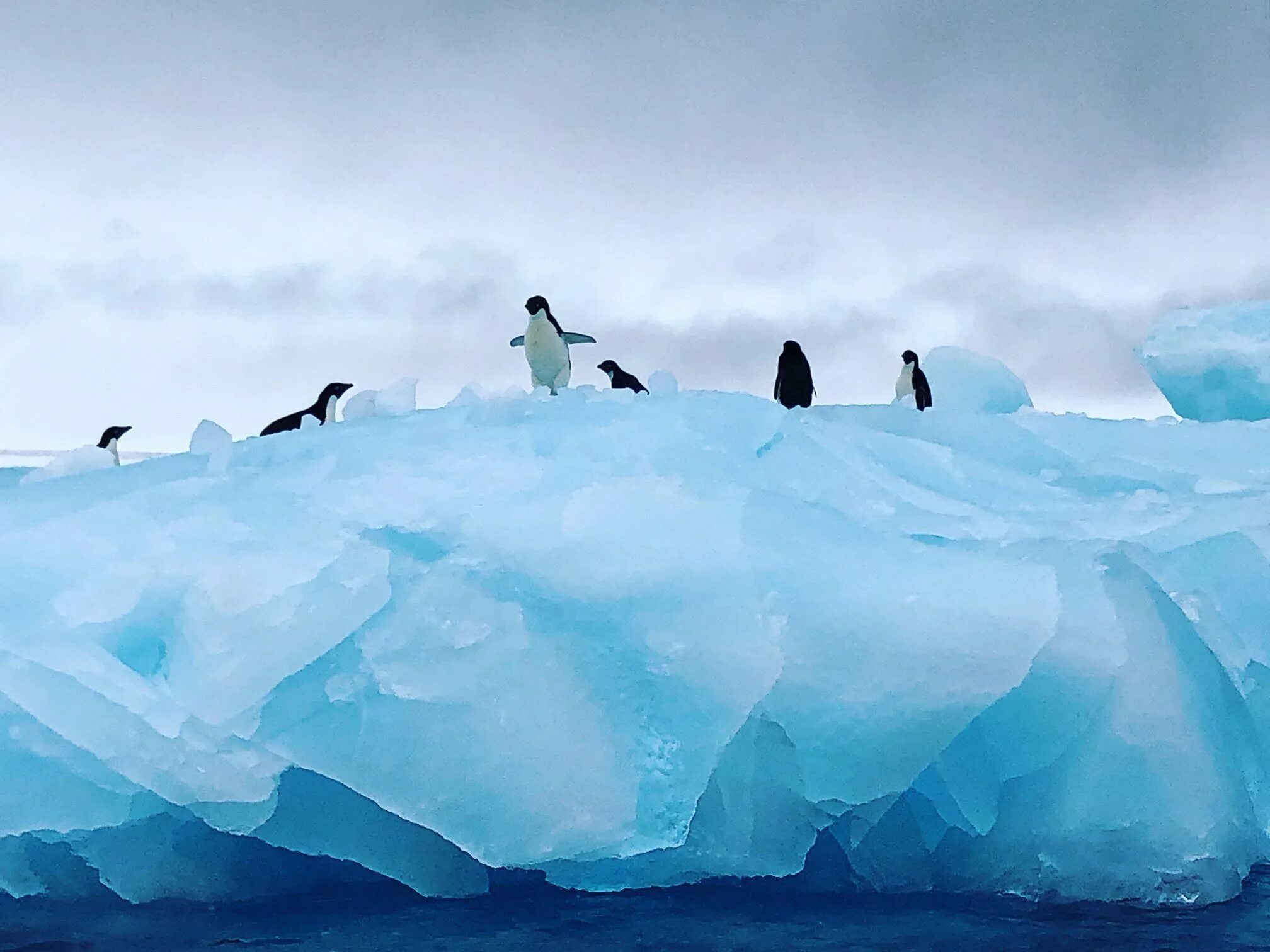 Глубь материка. Арктика Антарктика Антарктида. Антарктида материк пингвины. Покровные ледники Антарктиды. Биосфера Антарктиды.
