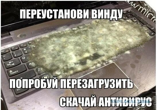 Пожалуйста переустановите
