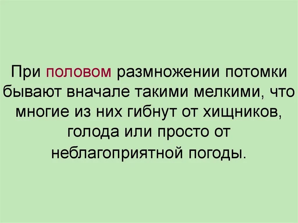 Почему при половом размножении потомства. Потомство при половом размножении. Почему при половом размножении. При половом размножении потомство получается в результате. Почему при половом размножении потомство оказывается разнообразным.