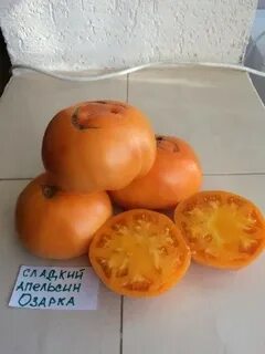 Помидоры апельсины носки