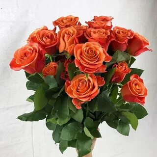 Rose fast