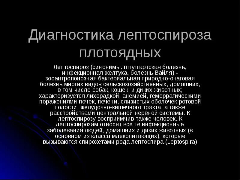 Лечение лептоспироза у собак. Диагностика лептоспир. лептоспироз диагностика. лептоспироз презентация. профилактика лептоспироза у человека.