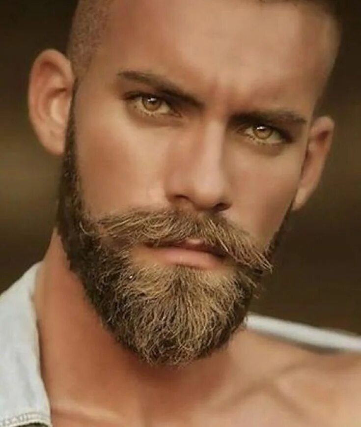 Barbu. Бороды мужские стильные. Модные стрижки бороды. Мужчина с бородой. Модельная стрижка бороды.