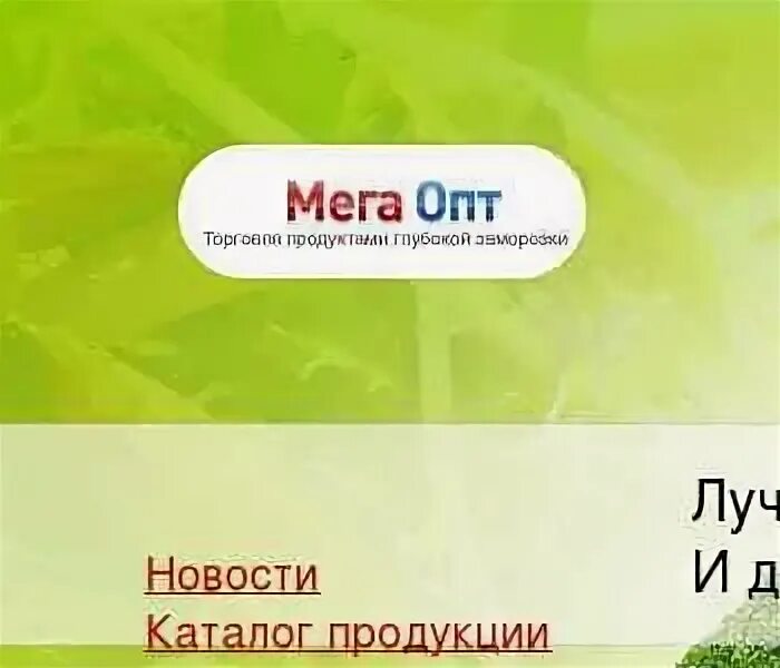 Ооо мега инн. ООО мега. Опт-мега. РФ.. Магазин ООО мега. МЕГАОПТ СПБ.