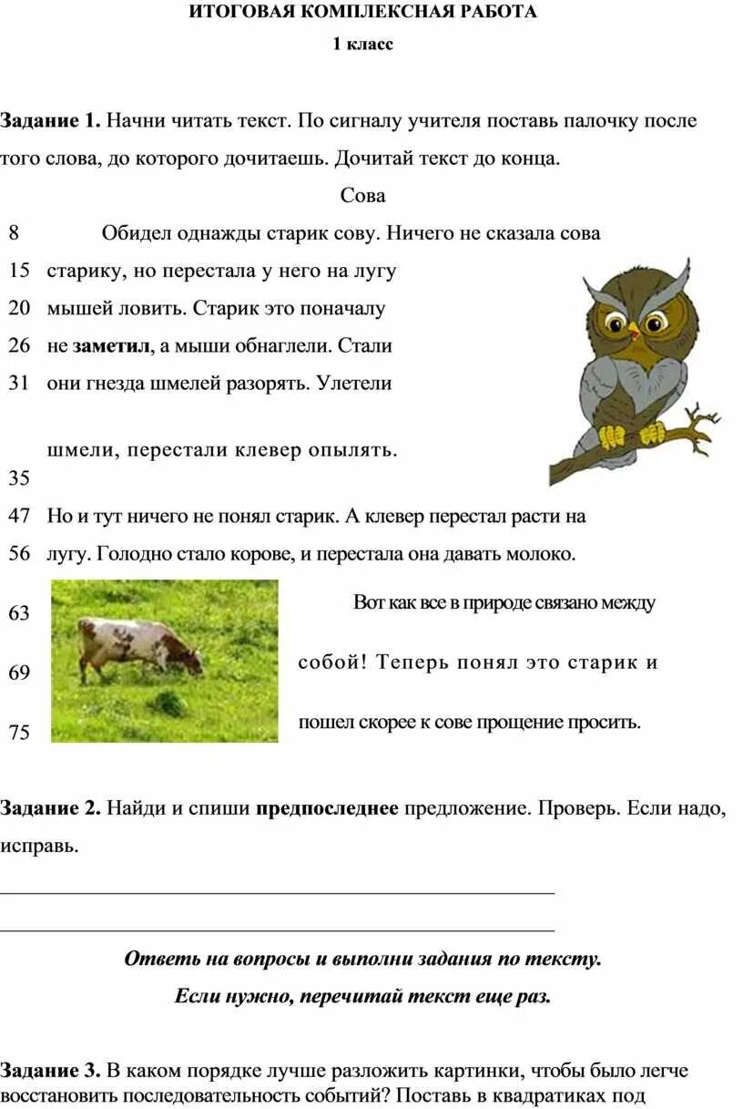 Комплексная работа сова ответы