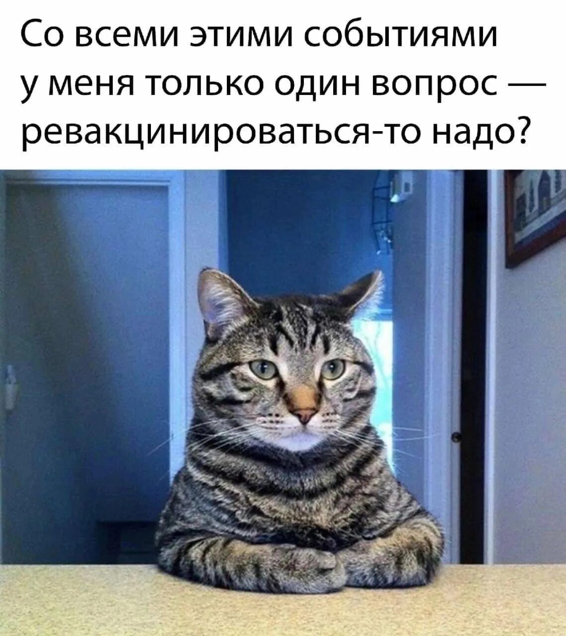 С первыйм рабочий денем. Современные мемы. После новогодних праздников на работу прикольные. Открытка пора на работу. Самые свежие мемы 2023.