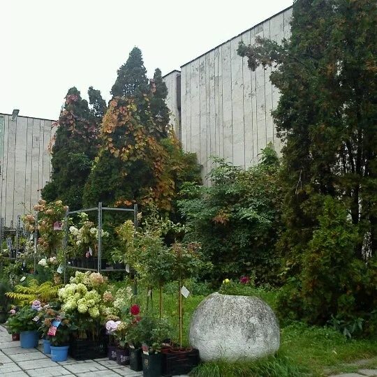 Photo: Свадьба на ВДНХ, organization of events, Moscow, Mira Avenue, 119с421 - Y