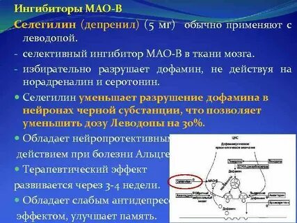 Моноаминоксидазы что это за препараты