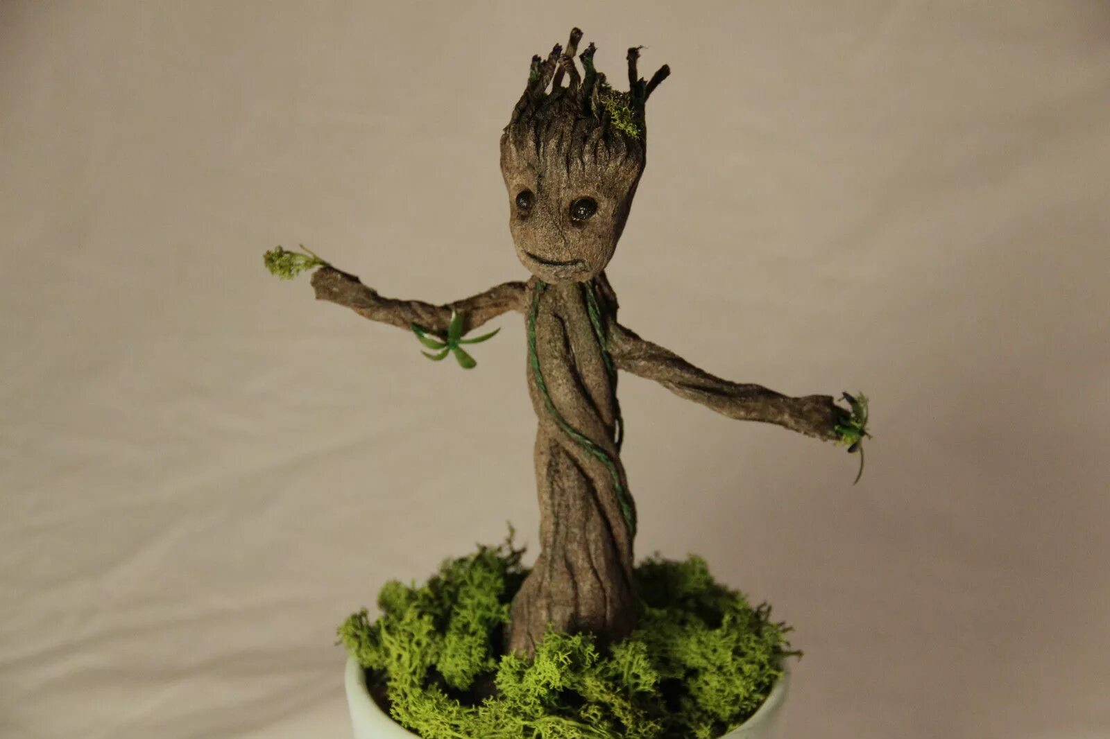 стабилизированный мох в кашпо. грут из мха. грут растение цетрария. грут малыш в горшке. герой грут кашпо.