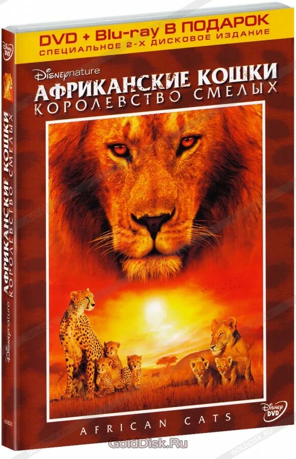 Зверь фильм. Постер африканские кошки: королевство смелых. Африканские кошки: королевство смелых фильм 2011. Африканские кошки королевство смелых 2011 диск. Фильм африканские кошки королевство смелых.