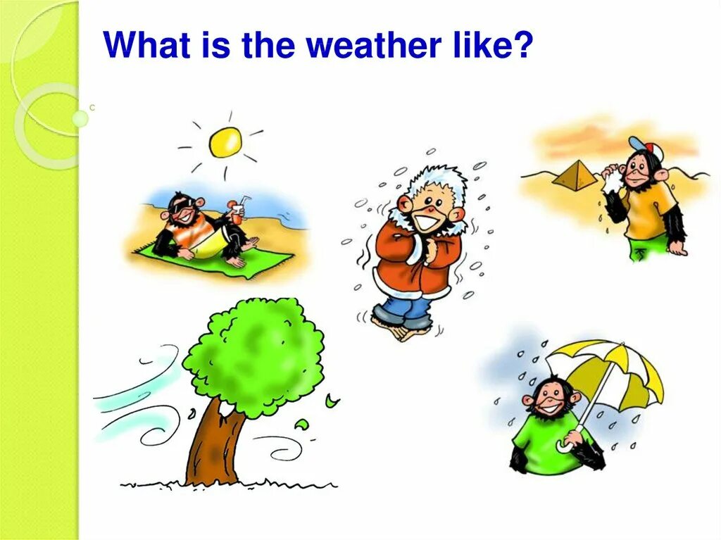 The weather should. What the weather like тема. Weather the weather is warm скороговорка. Картинка what is the weather. The weather is Cold.