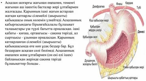 Жалаңаш жігіттер суретшілердің фотомонтажы