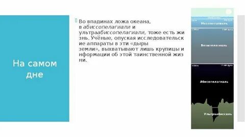 Самый шумный житель океана