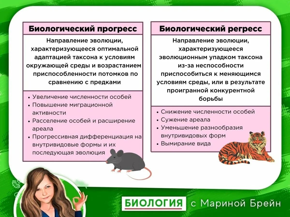 Причины биологического прогресса и регресса. Биологический прогресс и регресс. биологический процесс и биологический регресс. критерии биологического прогресса. пути эволюции биологический прогресс и регресс.