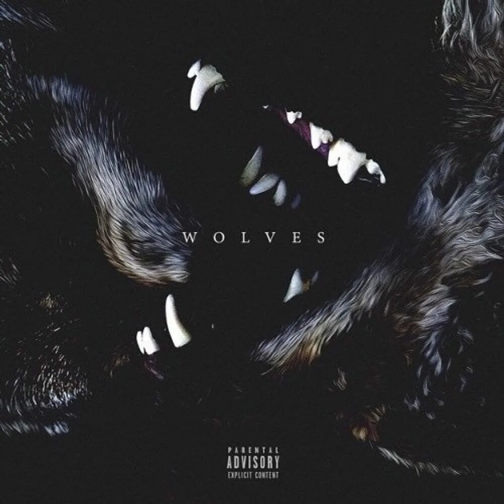 Wolves feat. Wolves Kanye West обложка. Канье Уэст волк. Обложки для треков волк. Обложка для трека волк.