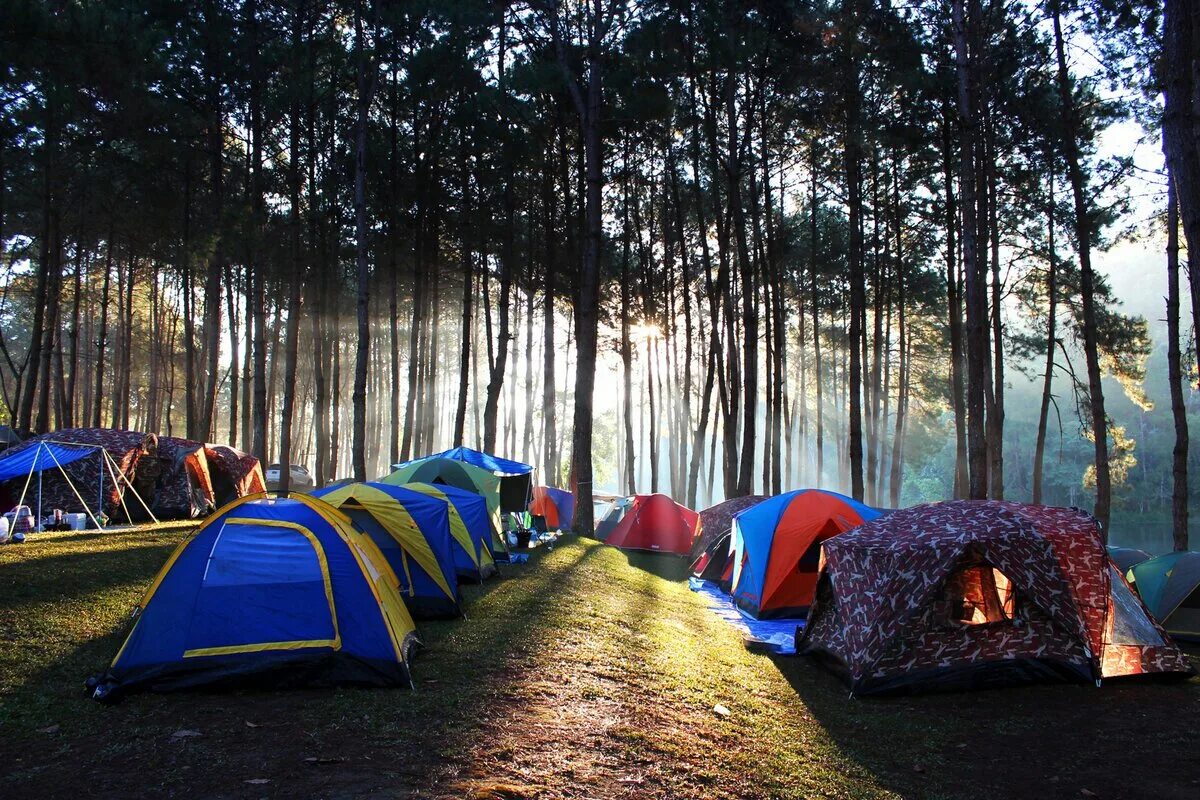 Camping se. Палаточный кемпинг Айская Долина. Кемпинг Караидель палаточный лагерь. Палаточный кемпинг Истра. Палаточный лагерь Camp 2050.