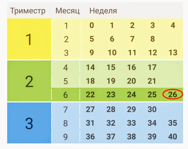 Третий триместр с какой. Триместры беременности по месяцам и неделям. триместры беременности по неделям и месяцам таблица. триместры недели и месяцы беременности таблица. триместры беременности по неделям таблица.