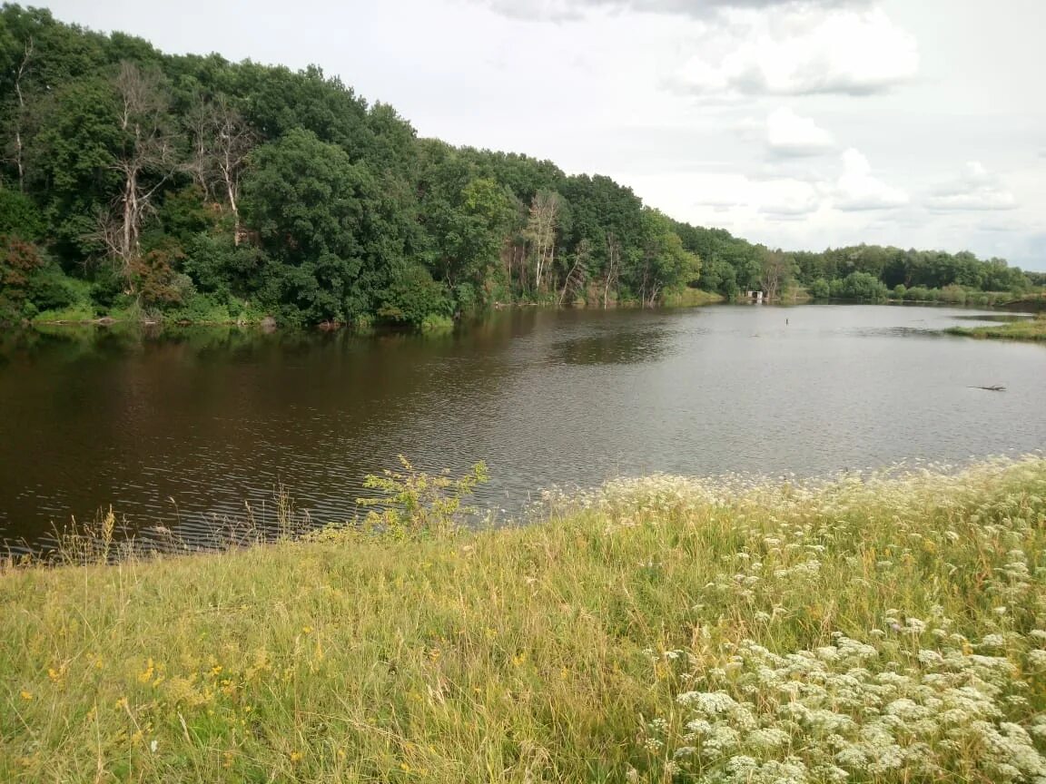 Погода в перевесинке. Село Перевесинка Турковского района Саратовской области. Село Колычево Саратовской области Турковский район. Пруд возле села Славянка Саратов. Водоёмы Турковского района.