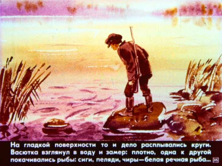 Иллюстрация к рассказу васюткино озеро. Рисунок к произведению васюткино озеро. Иллюстрация к произведению васюткино озеро. Васюткино озеро. Иллюстрация к рассказу васюткино озеро васюткино.