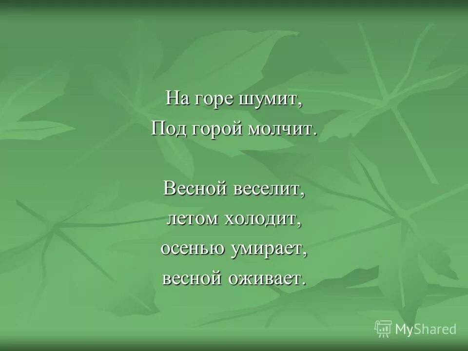 На горе шумит под горой молчит. Отгадай загадку на горе шумит под горой молчит. Ю Мориц на горе шумит. Летом холодит.