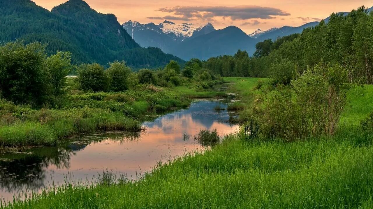 Реки горы равнины. Pitt Meadows BC. Горы и реки. Лето горы река. Пейзаж Долины реки