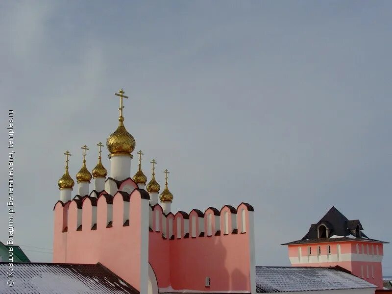 Покровские Селищи Мордовия монастырь. Варсонофиевский женский монастырь Мордовия. Свято-Варсонофиевский женский монастырь, село Покровские Селищи. Зубово Поляна монастырь СВЯТОВАРСОНОФИЕВСКИЙ. Свято варсонофиевский монастырь мордовия