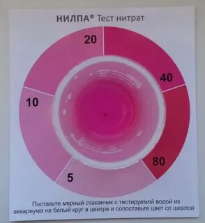 Нитрит тест