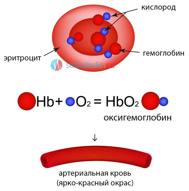 Реакция распада кислорода