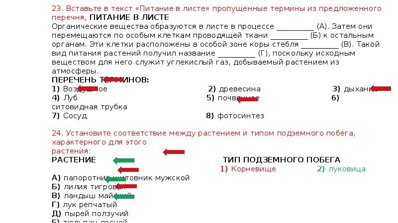 Вставьте в текст голосеменные растения пропущенные слова. Питание в листе текст. Вставьте в текст пропущенные термины. Вставьте в текст пропущенные термины питание в листе. Питание в листе текст с ответами.