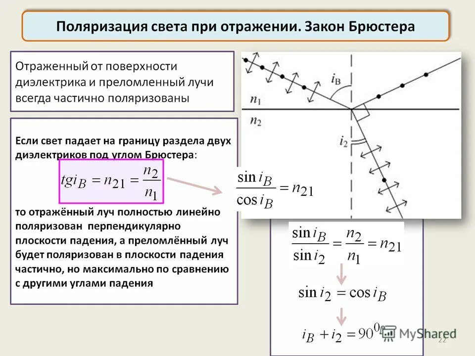 волновая природа света поляризация света. дисперсия поляризация.