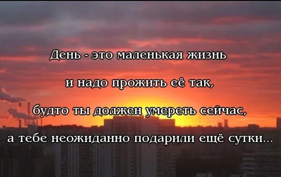 Почему не живу своей жизнью. Жить одним днем цитаты. Надо жить одним днем. Живите одним днем цитаты. Надо жить цитаты.