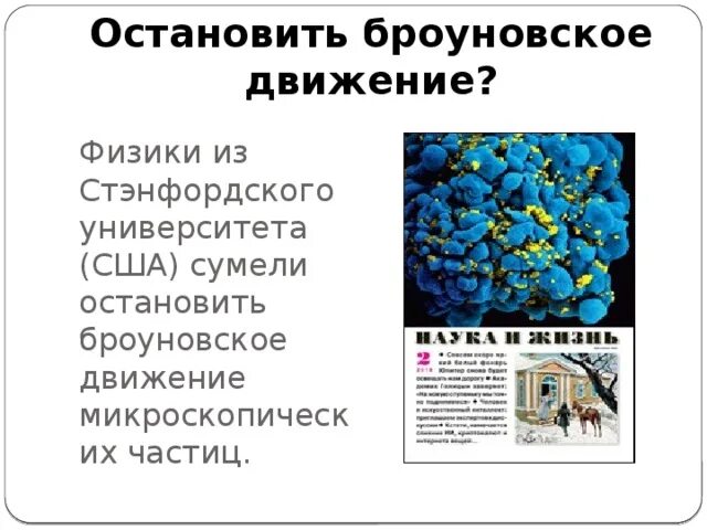 Фрактальное броуновское движение. Факторы, влияющие на броуновское движение.. Как Остановить броуновское движение. Броуновское движение днем и ночью