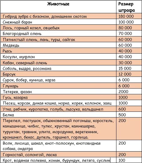 Штрафы за сбитых животных 2021 таблица. Таблица штрафов за сбитых животных. Штрафы за сбитых животных. Таблица штрафа за сбитого животного. Сколько штраф за сбитого