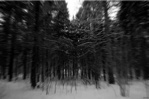 Optical forest