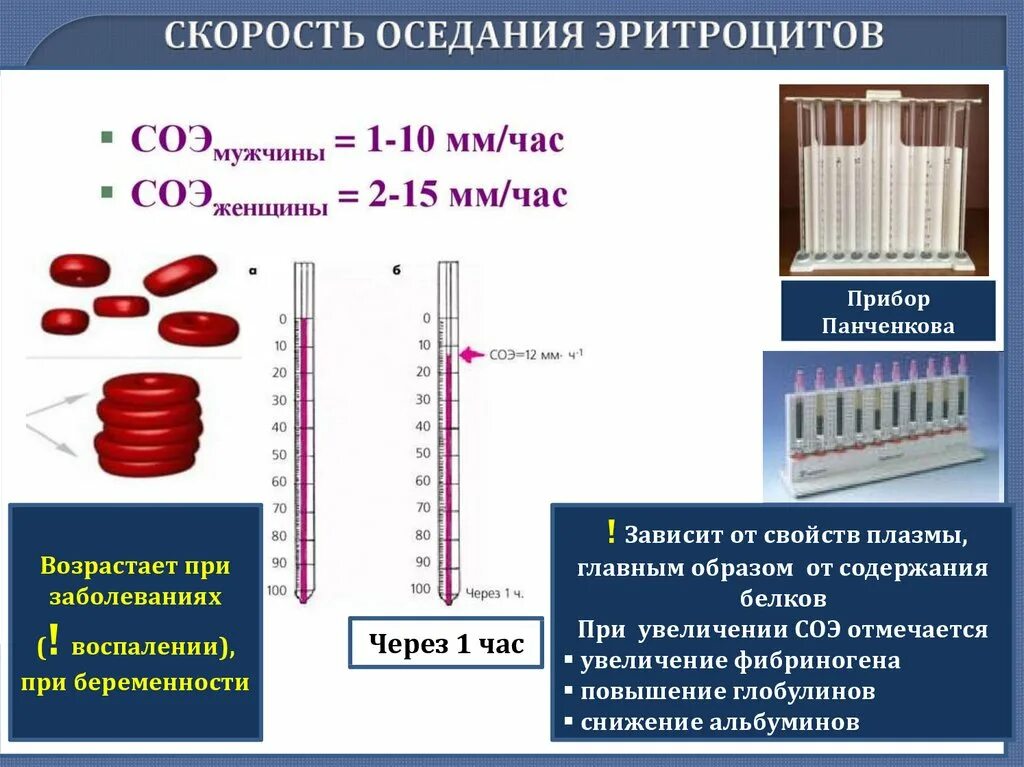 Кровь по панченкову повышена