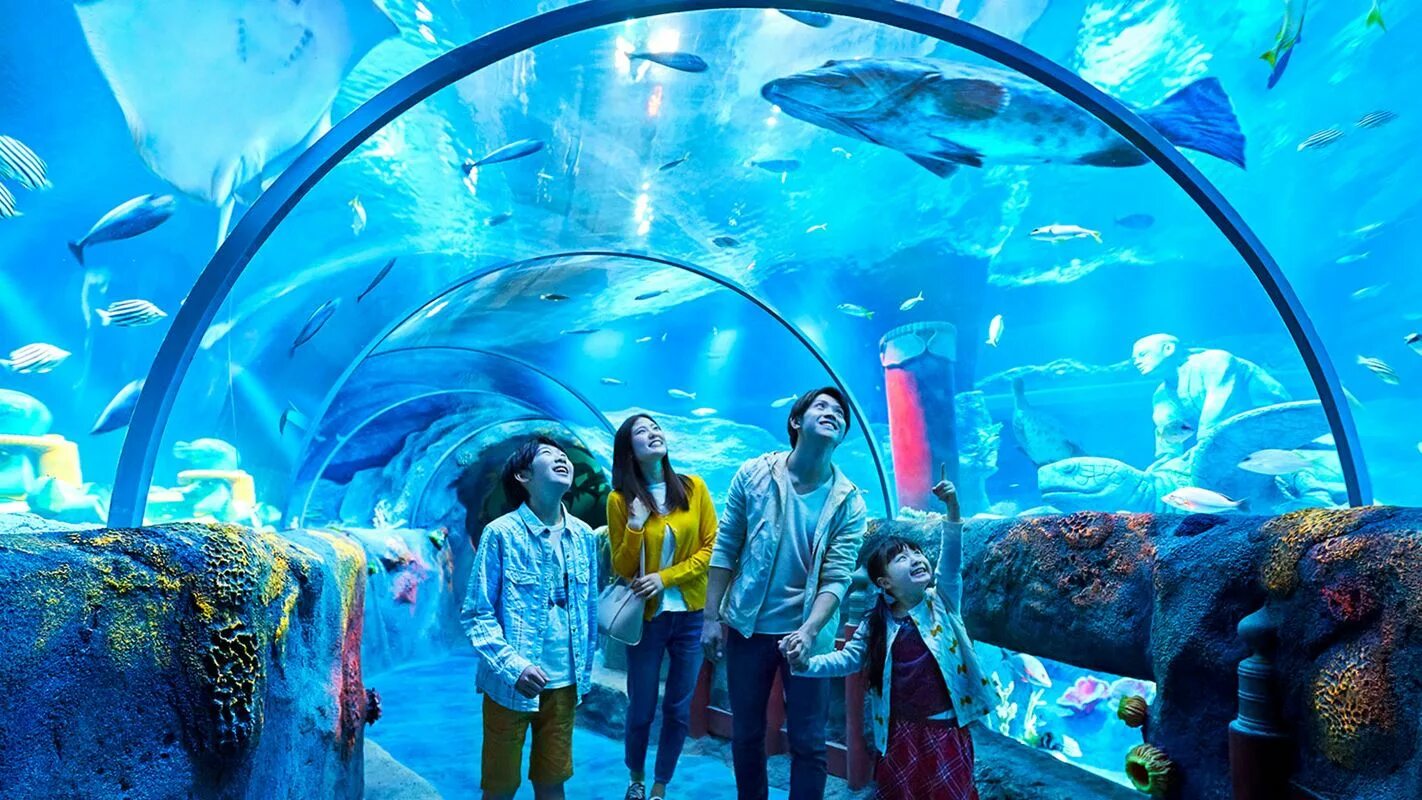 Сингапур Сентоза океанариум. Океанариум в Сингапуре s.e.a. Aquarium. Океанариум Aquaria KLCC. Marine Life Park, Сингапур. Отзыв sea life