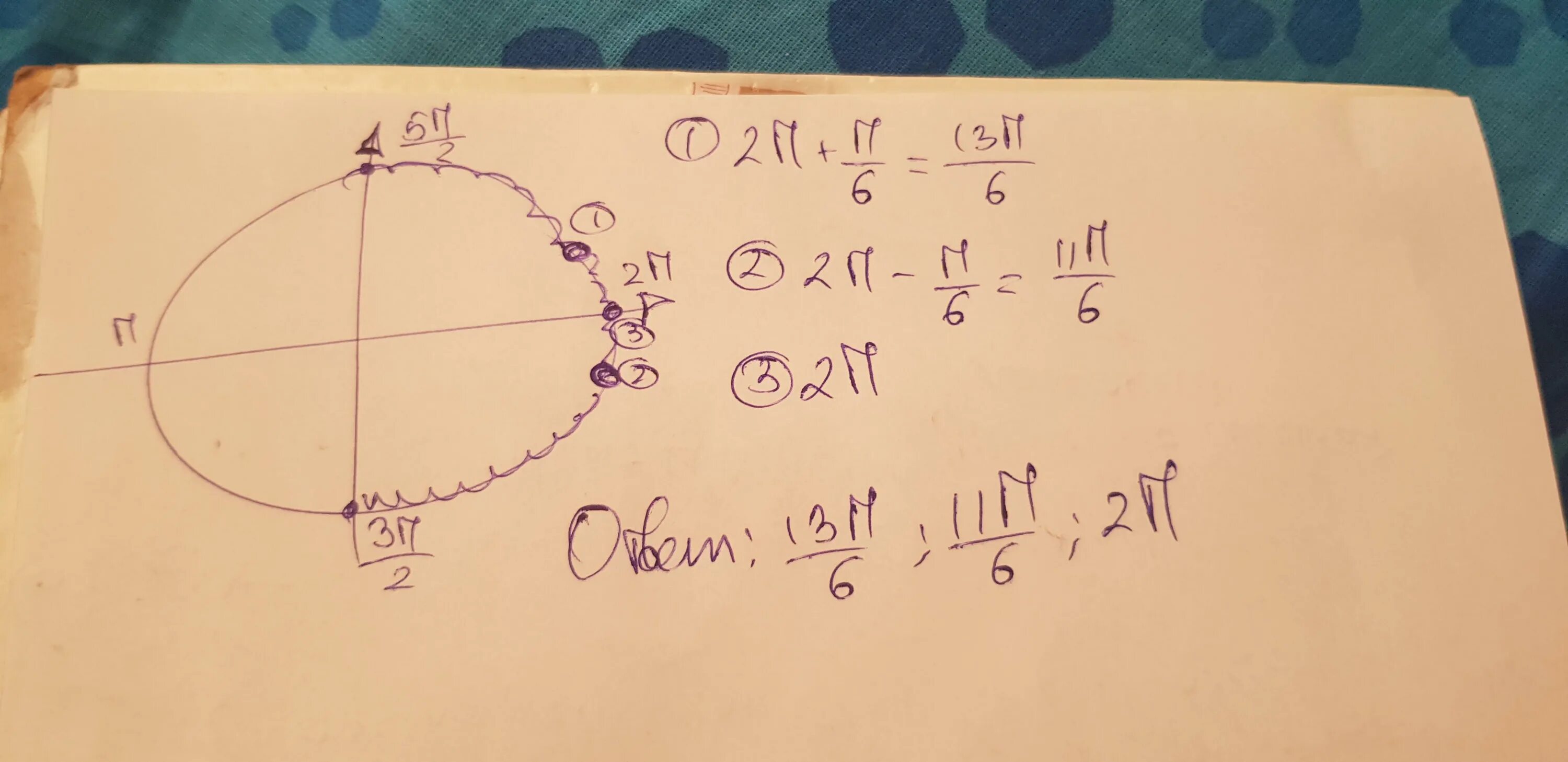 Принадлежащие промежутку [π/2;3π/2]. Укажите корни уравнения принадлежащие отрезку п 5п/2. 5π/3.