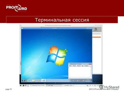 Терминальная сессия