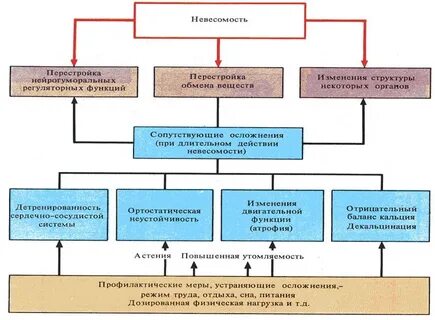 Невесомость влияние
