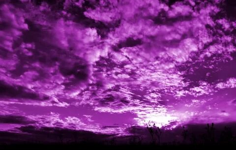 Фиолетовые небо