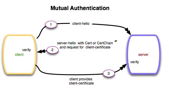 Client auth. Client authentication Certificate. Mutual information пример. IPSEC x509 Certificate authentication. Хеллоу клиент.