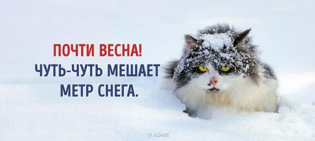 Русский человек ждет 3 вещи весну пятницу. Снежное утро понедельника. Шутки про зиму и весну. Зиму пережили.