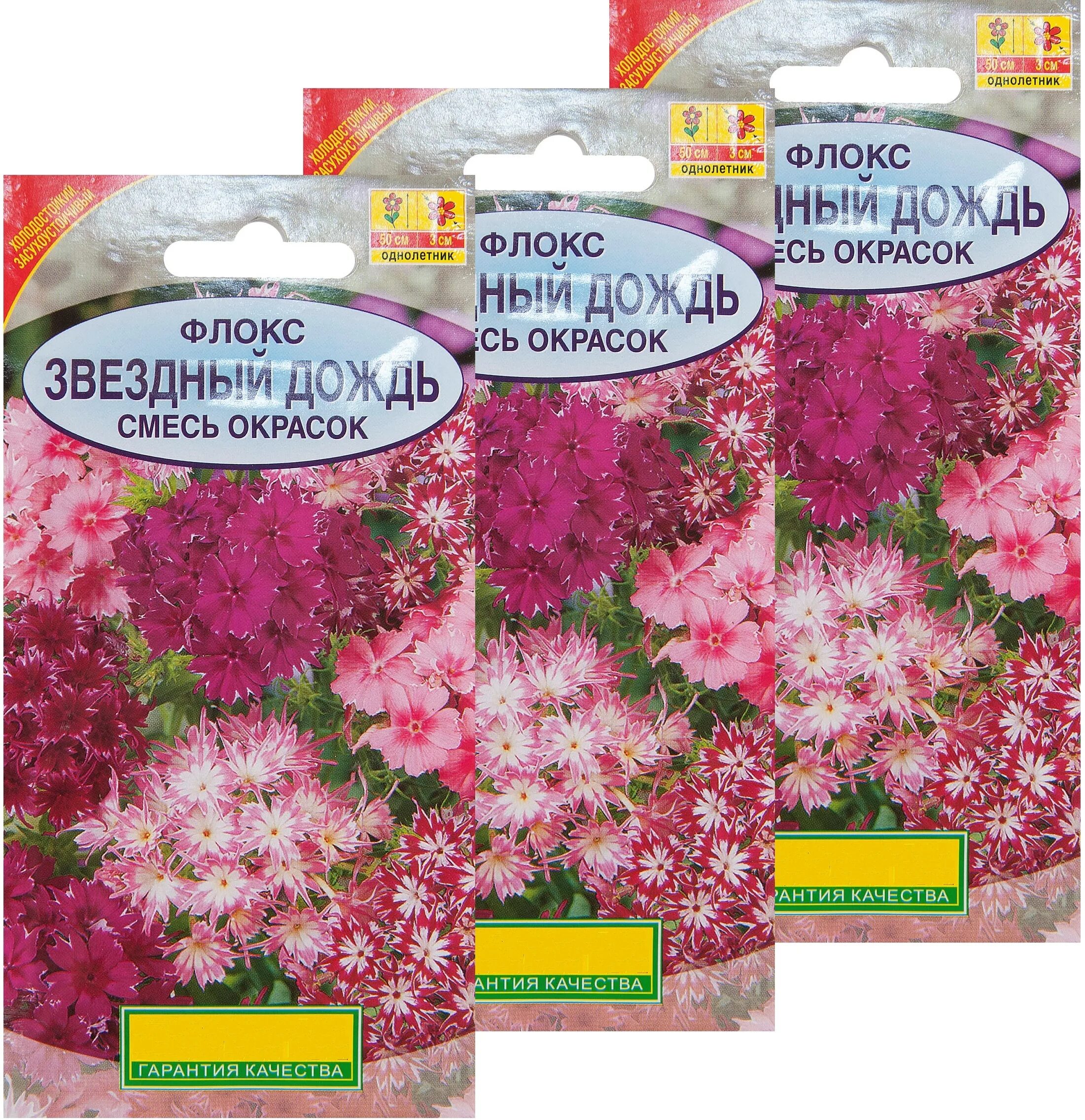 Стратификация семян в песке. Флокс друммонди смесь. Флокс друммонда промис белый. Стратификация семян флоксов. Стратификация семян земляники.