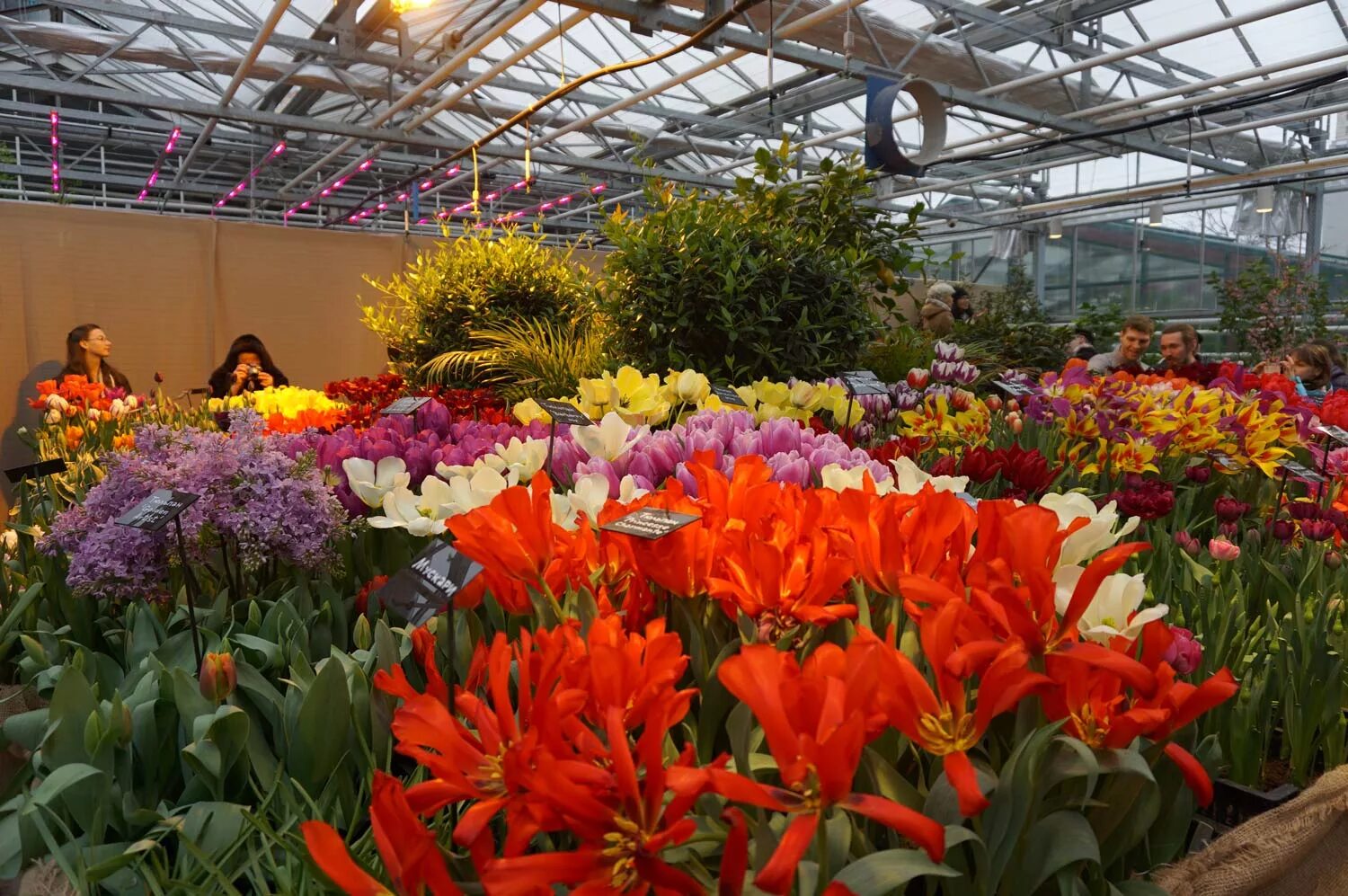 Цветочный салон. Магазин сады москвы адрес. Moscow garden show 2021. Аптекарский огород оранжерея. Уличные выставочные конструкции с растениями.